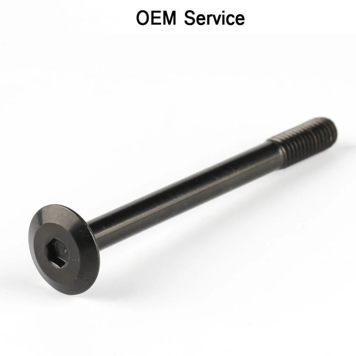 Black Zinc Plating Long Screws