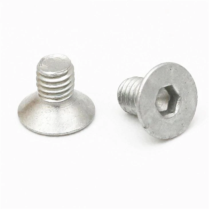 Precision Torx Galvanized Special Head Screw